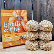 Load image into Gallery viewer, Pumpkin Spice Macaroons