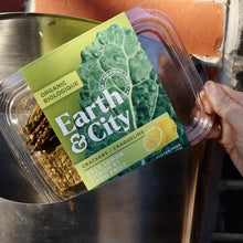 Load image into Gallery viewer, Kale Lemon Crackers