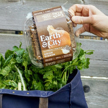 Load image into Gallery viewer, Onion Flatbread